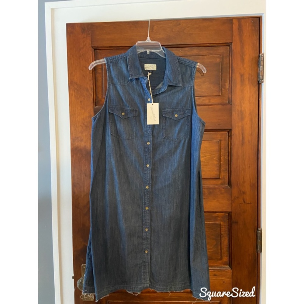 Universal Thread Denim Dress